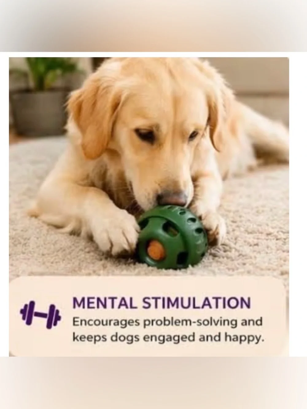 Dog Treat Dispensing Toy Set, Interactive Slow Feeder Tray and Puzzle Ball for M